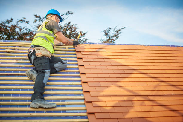 Best Roof Moss and Algae Removal  in Robinson, TX